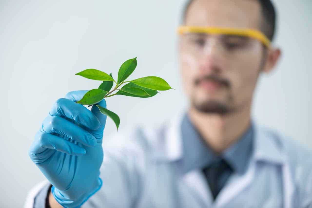 services-hero Young scientist wearing protective gloves and examining a plant sample in a laboratory setting.