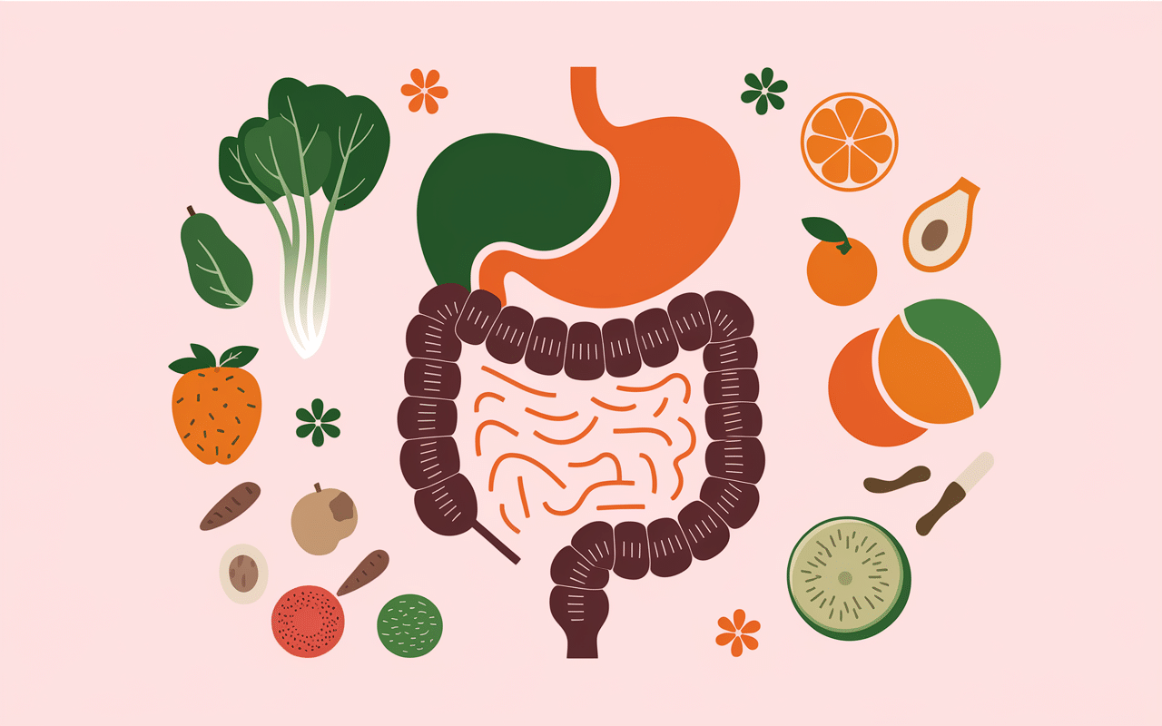 diagramme alimentation système digestif nutritiondigestion.fr