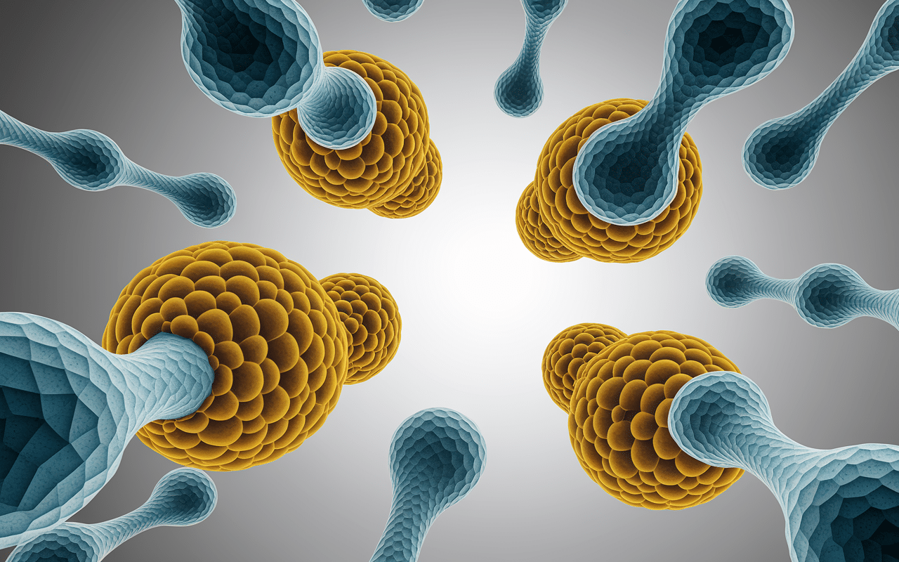 Fungizone bain de bouche action contre infection fongique