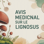 illustration champignon lignosus avis médical