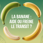 banane constipation maturité transit intestin