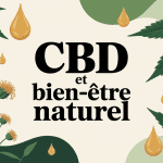papatilleul.fr bienfaits cbd composition zen huile fleurs