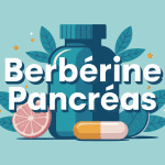 Berbérine danger pour le pancréas en image stylisée