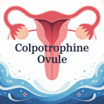 colpotrophine ovule illustration sur le soulagement des troubles vaginaux