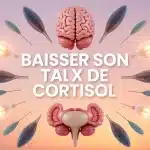 illustration vectorielle baisser son taux de cortisol cerveau et glandes surrenales