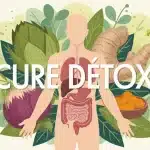 illustration cure détox corps humain foie plantes naturelles