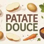 Composition colorée de patate douce avec curry et épinards