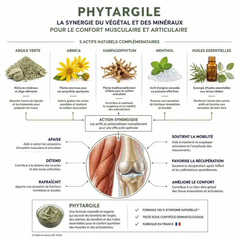Infographie sur la composition et les bienfaits de Phytargile pour le soulagement des douleurs
