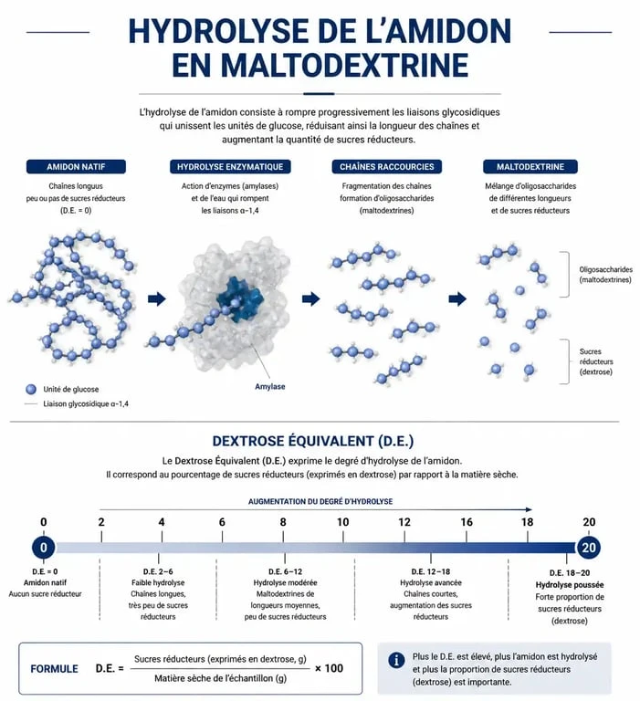 Schéma explicatif du processus de fabrication de la maltodextrine et du concept de Dextrose Équivalent