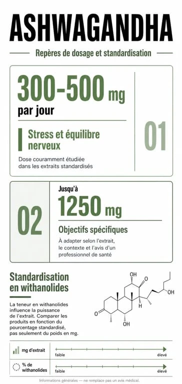 Infographie sur le dosage quotidien recommandé d'ashwagandha et l'importance de la standardisation en withanolides