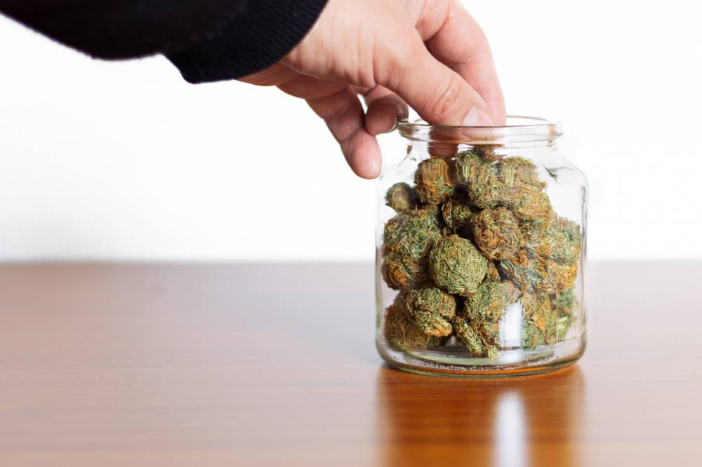 comment choisir ses fleurs de CBD